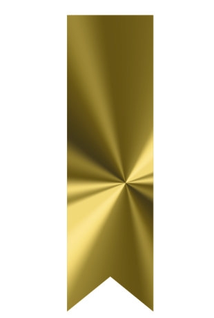 [K1210269] Langwerpig Vaandel Everyday Goud Metallic 2.5 x 8.5cm 250stuks