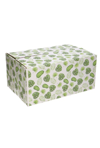 [1910193] Geschenkdozen Jungle 31x20x14cm 30stuks