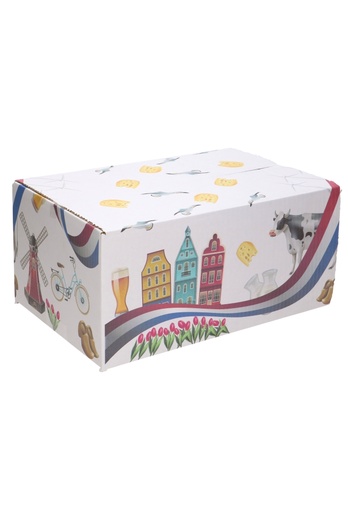 [1910020] Geschenkdozen Nederland Box 31x20x14cm 30stuks