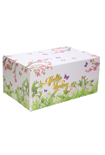 [1910026] Geschenkdozen Hello Spring 31x20x14cm 30stuks