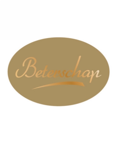 [K1210048] Etiketten Everyday Beterschap Goud 3.7x2.5cm 500stuks