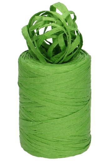 [K1430053] Raffia Papier Appel Groen 5 a 8 mm x 100 meter