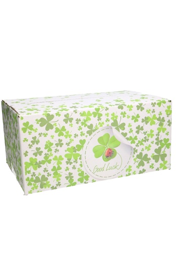 [1910064] Geschenkdozen Good Luck 31x20x14cm 30stuks