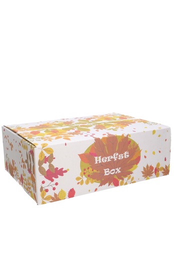 [1910023] Geschenkdozen Herfstbox 39x29x13cm 15stuks