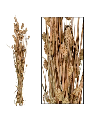 [K1810012] Droogbloemen Bunch Phalaris Naturel Wit 76x14.5x7cm OP IS OP