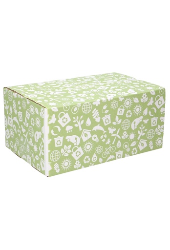[1910120] Geschenkdozen Duurzaam Symbool 31x20x14cm 30stuks
