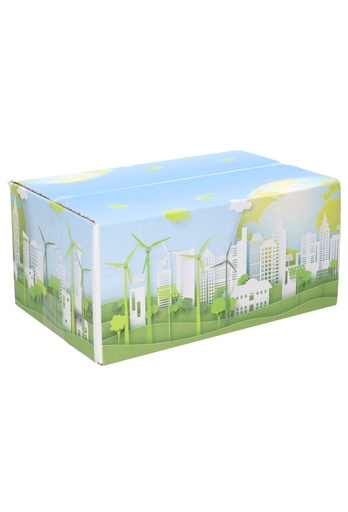 [1910122] Geschenkdozen Duurzaam Windmolen 31x20x14cm 30stuks