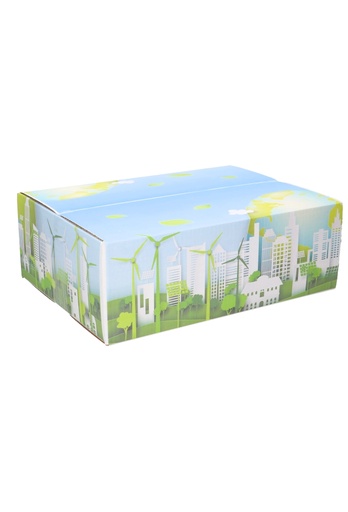 [1910121] Geschenkdozen Duurzaam Windmolen 39x29x13cm 15stuks