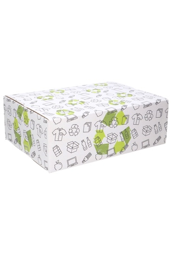 [1910123] Geschenkdozen Duurzaam Gerecycled 39x29x13cm 15stuks