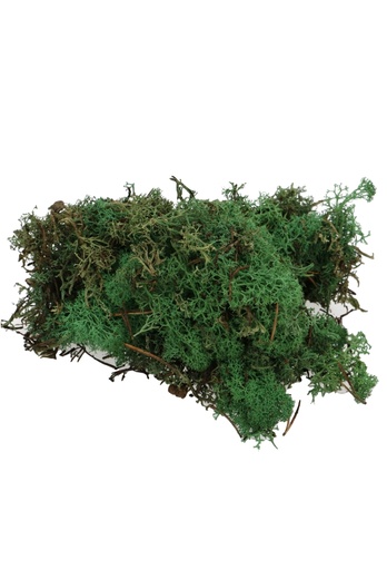 [K1810035] Mos Decoratie & Vullingmateriaal Reindeer Nature Donker Groen 30 gram