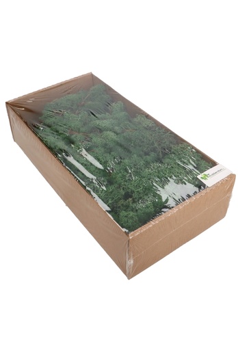 [K1810037] Mos Decoratie & Vullingmateriaal Reindeer Nature Groen 500 gram