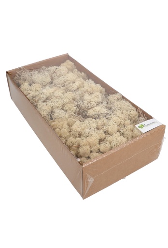 [K1810038] Mos Decoratie & Vullingmateriaal Reindeer Nature 500 gram