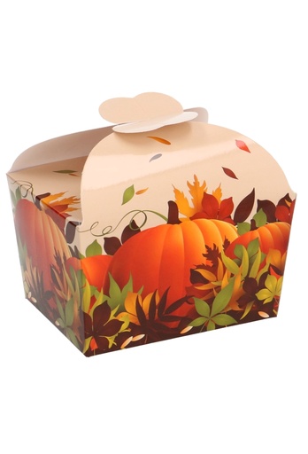 [K1360660] Bonbondoosjes Herfst Pompoen 500gr & Vlindersluiting 11.5x9x7cm 24st