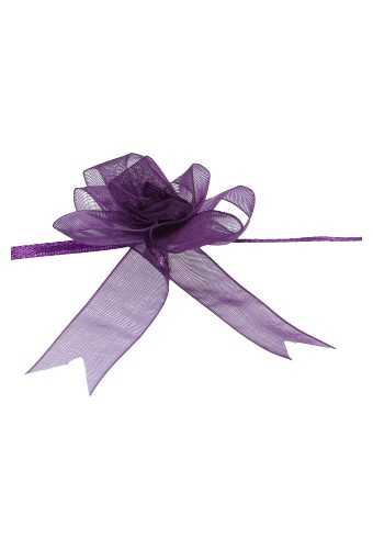 [K1420003] 2 HALEN & 1 BETALEN Mini Trek Strikken Organza Paars 15mm r45mm 10st