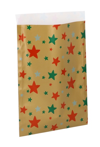 [K1230293] Kerstzakjes Stars Gold 17x25cm 250stuks