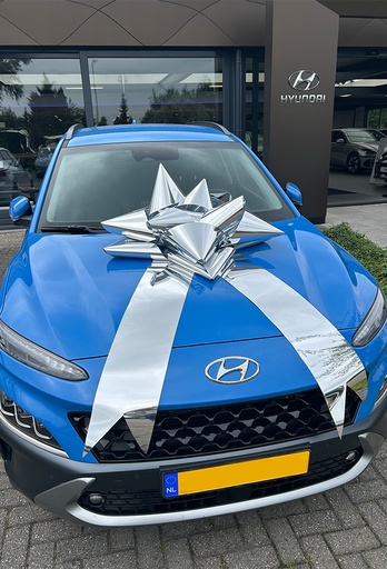 [K1290358] Autostrik Vienna Metallic Zilver d80cm+80cm Magnum Bows