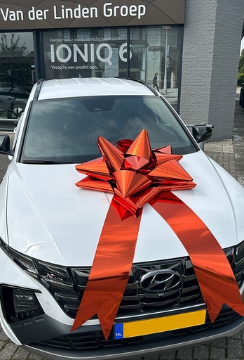 [K1290363] Autostrik Vienna Metallic Oranje d80cm+80cm Magnum Bows