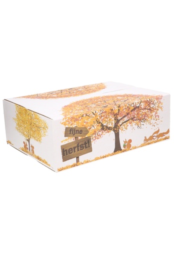 [1910161] Geschenkdozen Fijne Herfst 39x29x13cm 15stuks