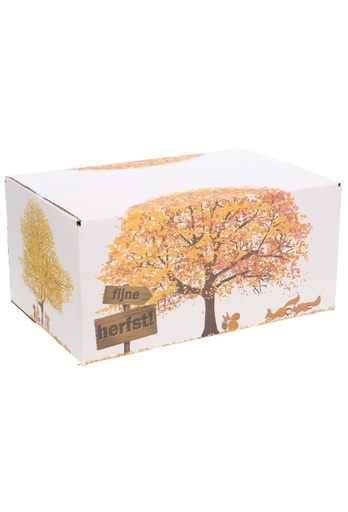 [1910162] Geschenkdozen Fijne Herfst 31x20x14cm 30stuks