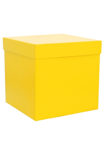 [K1270027-LOS] AKTIE Luxe Geschenkdoos Grande Torino Geel 23.5x23.5x22.5cm 1stuks