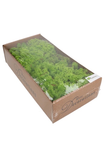 [K1810042] Mos Decoratie & Vullingmateriaal Reindeer Nature Groen 500 gram