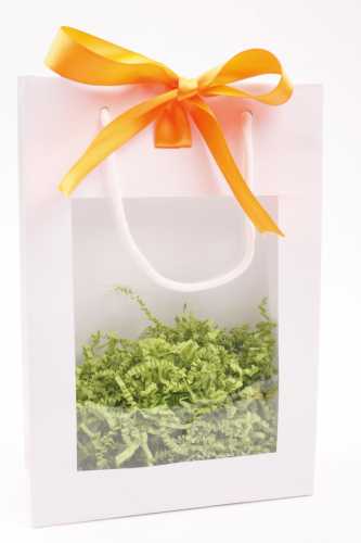 [K1110120] Kadotasjes Trazo Wit Glanzend Met PVC Venster 20x8x29cm 10stuks