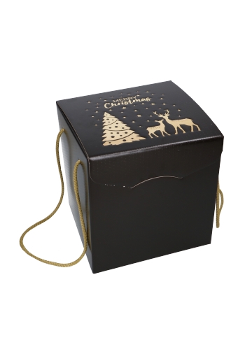 [K1271998] Geschenkdoos Merry Christmas Gold & Dark Brown Koord 21x21x21cm 20st