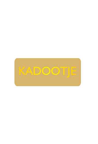 [K1210164] Etiketten Everyday Kadootje Goud 3.8x1.6cm 500stuks