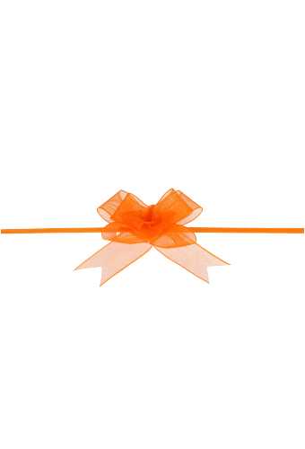 [K1420246] 2 HALEN & 1 BETALEN Mini Trek Strikken Organza Oranje 15mm r45mm 10st